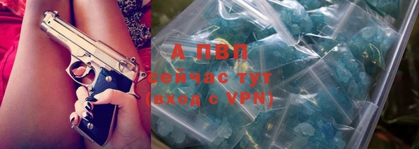 дмт Покачи