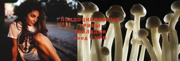 спиды Валдай