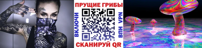 Галлюциногенные грибы Psilocybine cubensis где купить наркотик Мещовск